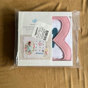 Baby Milestone photo blanket